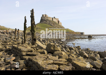 Lindisfarne Castle in Northumberland Coast Inghilterra come visto attraverso la baia a bassa marea Foto Stock