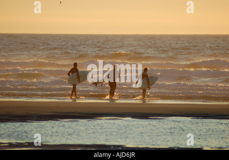 Surfisti sulla Fistral Beach, Newquay, Cornwall, al tramonto. Foto Stock