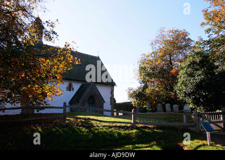 Esterno Della Chiesa Di St Botolph, Hardham, West Sussex, Inghilterra Foto Stock