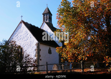 Esterno Della Chiesa Di St Botolph, Hardham, West Sussex, Inghilterra Foto Stock