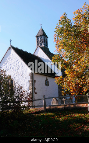 Esterno Della Chiesa Di St Botolph, Hardham, West Sussex, Inghilterra Foto Stock