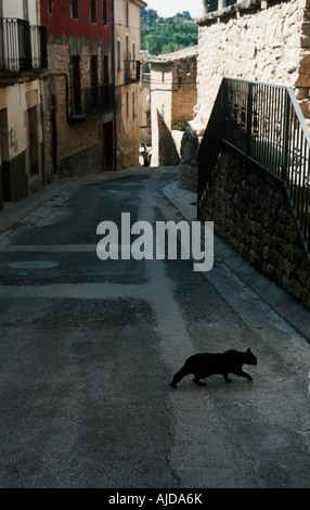 Gatto nero attraversando tranquilla strada comunale Foto Stock