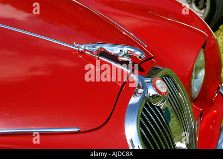 Chiudere l immagine del cofano anteriore grill e fari di profondo rosso Jaguar automobile Foto Stock