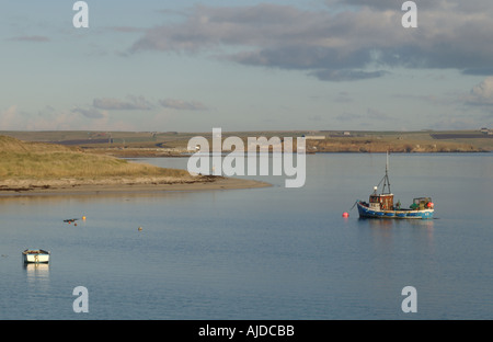 Dh suono di WEDDELL ORKNEY l uomo e il suo cane a camminare sulla spiaggia barca da pesca che sono ancorate al largo di Glims Holm Foto Stock