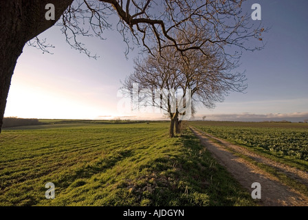 Un Lincolnshire 'limitato Byway'. Foto Stock