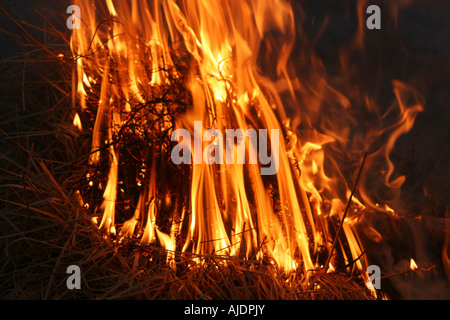 Cespugli selvatici sul fuoco che infuria fuori controllo simmetria in fiamme Foto Stock