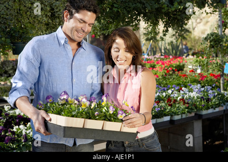 Matura la scelta delle piante in vivaio Foto Stock