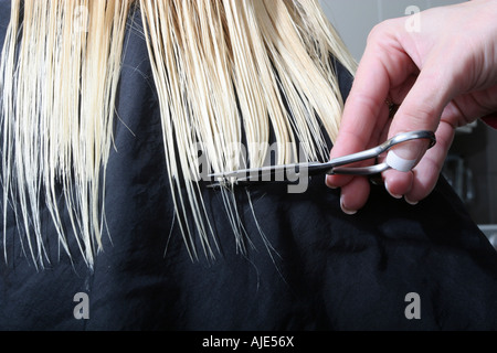 Capelli lunghi biondi essendo tagliato Foto Stock