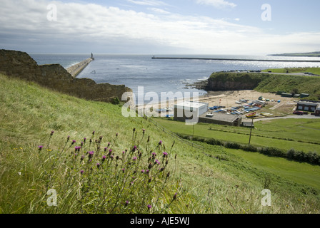 La baia di Tynemouth affacciato sul mare Foto Stock