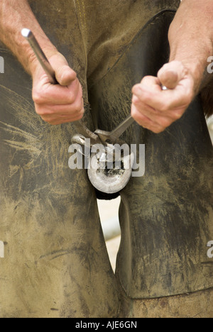 Close up di un maniscalco lavorando su un asini zoccolo. Foto Stock