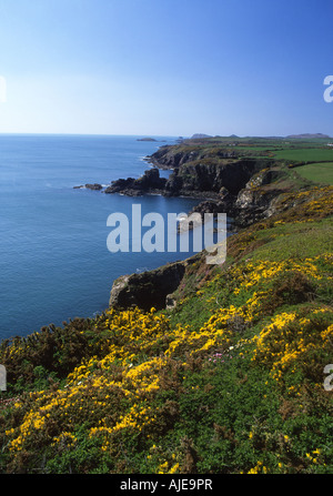 St Non's Bay in primavera vicino a St David's Pembrokeshire Wales UK Foto Stock