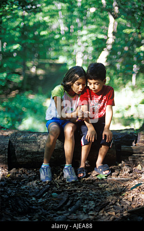 I due ragazzi guardando qualcosa nei boschi Foto Stock