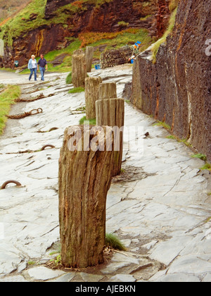 Vecchi posti di ormeggio in banchina e il sentiero Porto Boscastle Boscastle Cornovaglia patrimonio Atlantic Coast Inghilterra Regno Unito Foto Stock