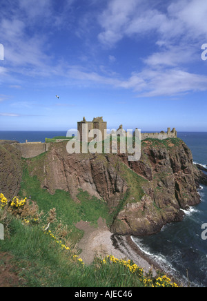 dh DUNNOTTAR CASTLE KINCARDINESHIRE Castello roccaforte sul mare scogliera promontorio spiaggia gola cespugli scozia Foto Stock