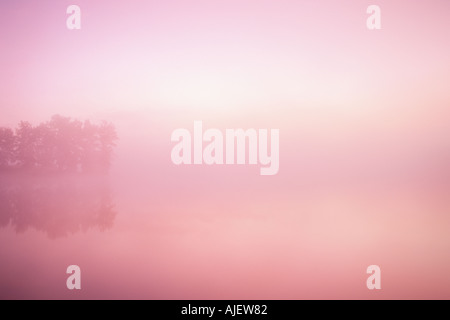 Piccolo Lago di Dixie e nebbia in luce predawn Foto Stock