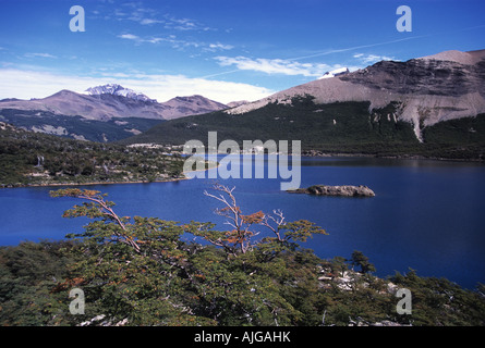Laguna Capri e southern faggi vicino a Mt Fitzroy, parco nazionale Los Glaciares, Patagonia, Argentina Foto Stock