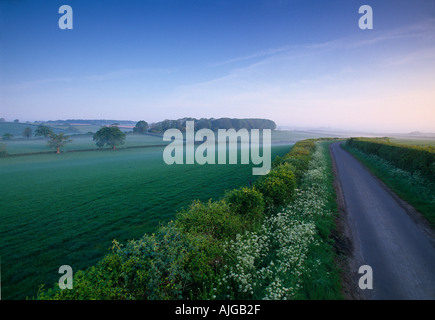 La strada per il Charlton Horethorne Somerset England Regno Unito Foto Stock