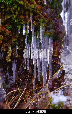 Ghiaccioli sulle rocce REGNO UNITO Foto Stock