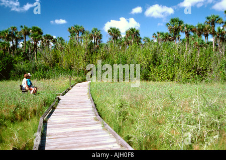 Corkscrew Swamp Sanctuary Boardwalk vicino a Napoli Florida Foto Stock