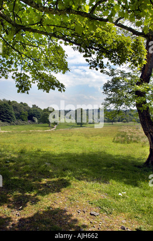 Mugdock Country Park vicino a Milngavie Glasgow Foto Stock