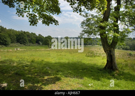 Mugdock Country Park vicino a Milngavie Glasgow Foto Stock