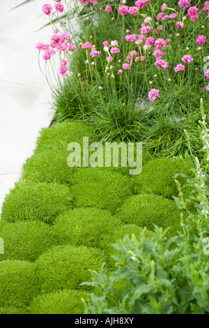 Chelsea Flower Show 2007 Il Hasmead sabbia e giardino di ghiaccio Linda Bush Foto Stock