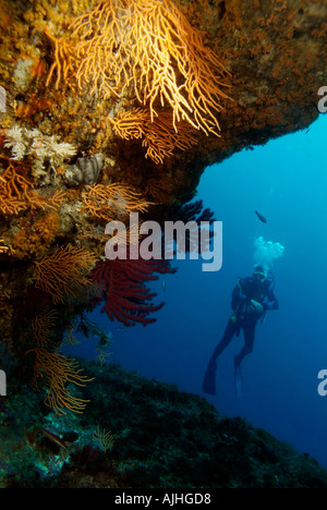 Scuba Diving - Underwater shot del Subacqueo nei pressi di una grotta - off Riou isola, mare Mediterraneo, Francia Foto Stock