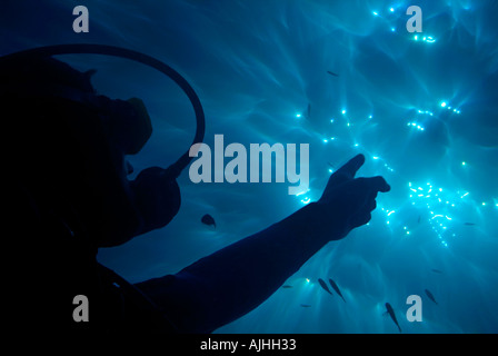Un subacqueo puntando i raggi solari che penetrano la superficie dell'acqua. Foto Stock