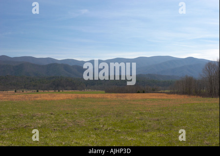 Una coperta di erba valley in Cades Cove nelle Smoky Mountains del Tennessee Foto Stock