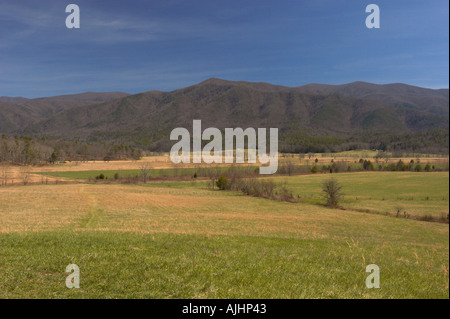 Una coperta di erba valley in Cades Cove nelle Smoky Mountains del Tennessee Foto Stock