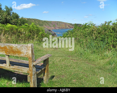 Panca in legno con vista del Pembrokeshire litorale Stackpole Quay in agosto 2007. Foto Stock