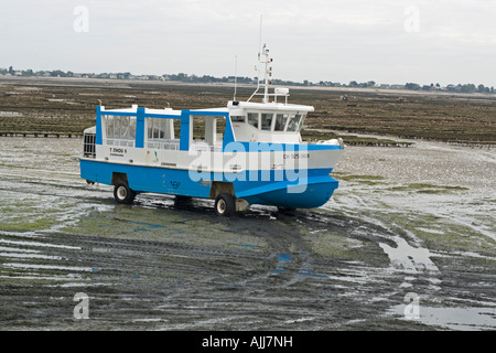 Anfibi Ile de Tatihou ferry St Vaast La Hougue Normandia Francia Foto Stock