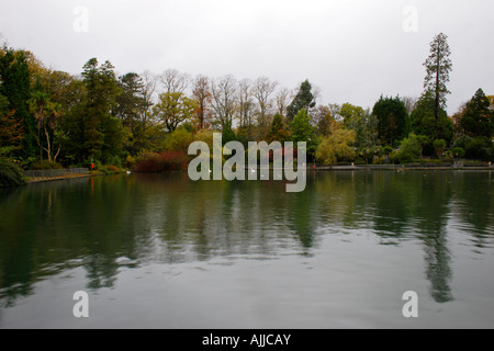 Foto orizzontale di Brynmill Park, un piccolo parco suburbano con un lago a Swansea, West Glamorgan, South Wales, Regno Unito in autunno Foto Stock