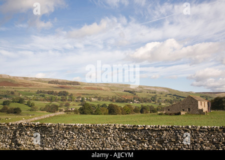 Asciugare la parete di pietra in terreni agricoli rurali paesaggio in Yorkshire Dales National Park con vista Askrigg comune al di là. Wensleydale Yorkshire England Regno Unito Foto Stock