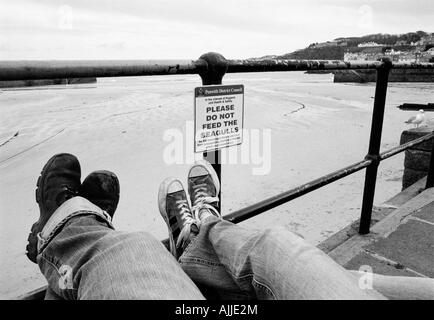 Non alimentare il segno i gabbiani sul lungomare di St Ives Harbour. Piedi appoggiati sulle ringhiere Cornwall Inghilterra REGNO UNITO Foto Stock