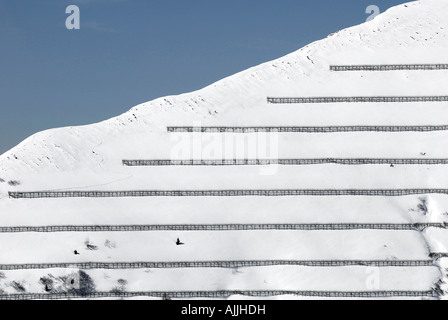 Barriera metallica di protezione contro le valanghe Alpi Dolomiti Lawinenverbauung auf einem Schneehang Foto Stock