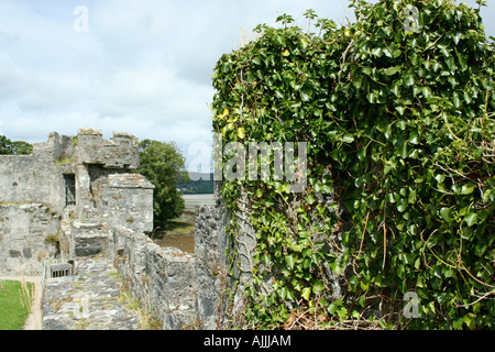 Doe castle dal parapetto, Creeslough, nr Dunfanaghy, Clonmass e Sheephaven bay, Donegal Inishowen, Irlanda Foto Stock