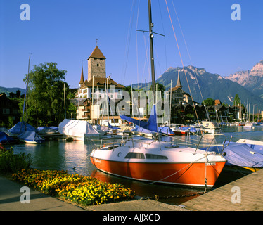 CH - Oberland bernese: Castello di Spiez sul Lago di Thun Foto Stock