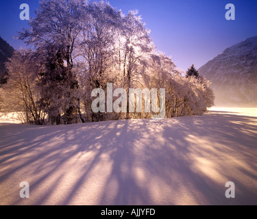 A - Tirolo: Winterscene vicino Heiterwang Foto Stock