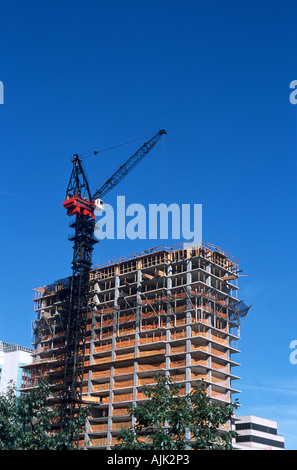 Gru usate nella costruzione commerciale Foto Stock