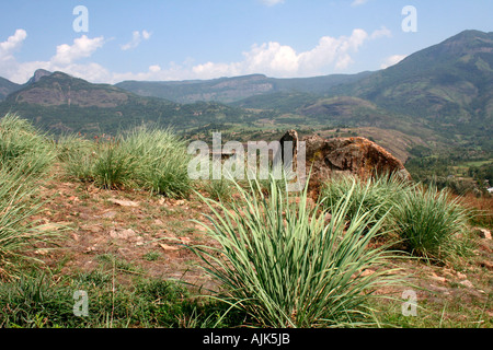 Una vista panoramica sulle verdi colline e valli in Kerala Foto Stock