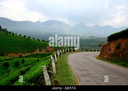 Una strada tortuosa su di una bellissima collina stazione in Munnar Kerala, India Foto Stock