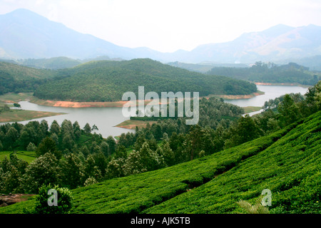 Un fiume di montagna e la lussureggiante vegetazione che lo circonda in Munnar Kerala, India Foto Stock