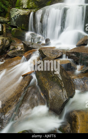 Laurel Creek Falls, Great Smoky Mountains National Park, Tennessee, Stati Uniti d'America Foto Stock