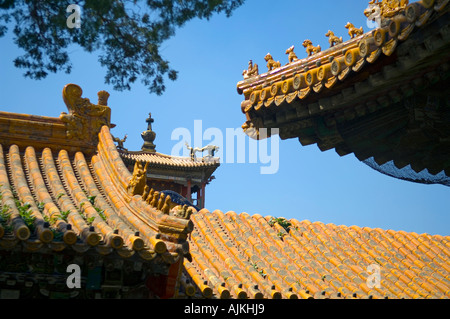 La Città Proibita Patrimonio UNESCO Pechino CINA Foto Stock