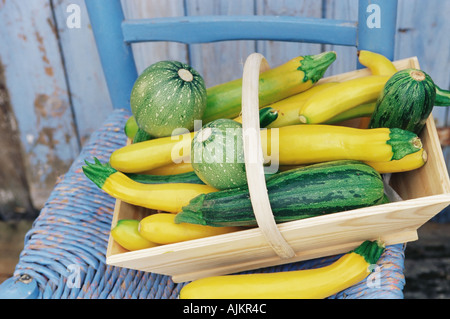 Il giallo e il verde di zucchine Foto Stock