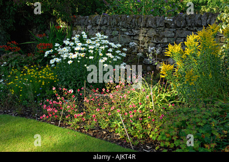 Parte del prato e aiuola di fiori con vari fiori estivi compresi Michelmas margherite Perthshire Scozia Scotland Foto Stock