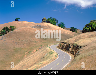 Monte Tamalpais a Marin County in California USA Foto Stock