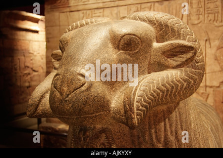 Statua di ram di Amon- Ashmolean Oxford Foto Stock