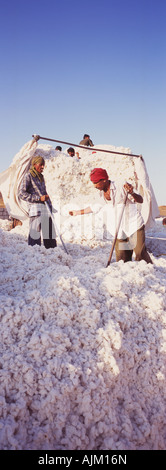 I lavoratori in cotone mill, Gujarat, India Foto Stock